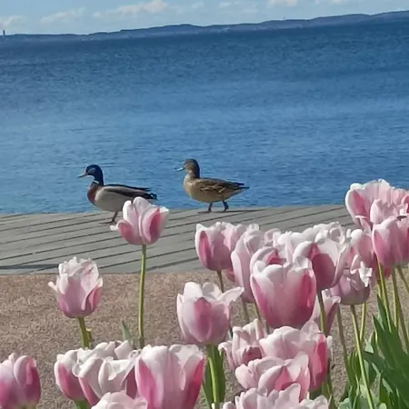 Διαμέρισμα Dimora Corte San Zeno Bardolino Vicino Al Lago Ac