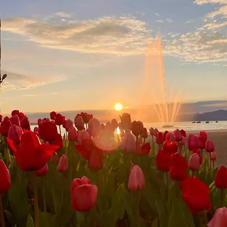 Apartment Dimora Corte San Zeno Vicino Al Ac